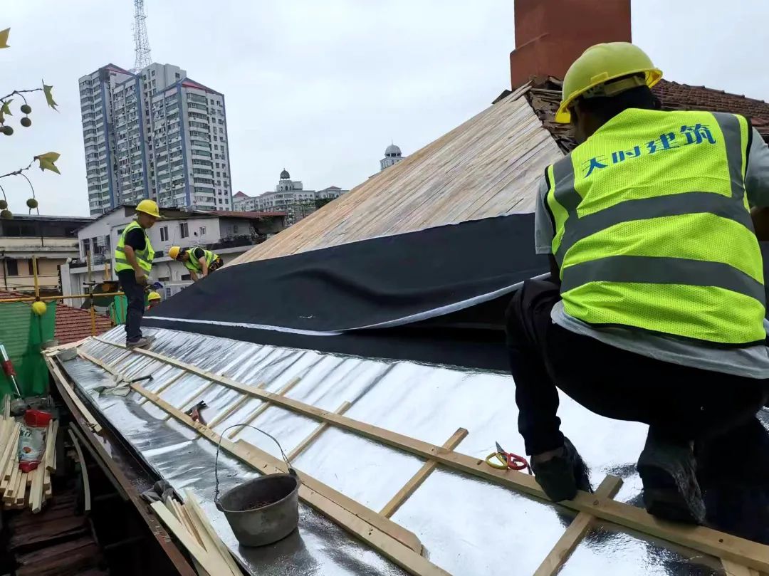 1733371058101306.jpg bf79377e792bb5d4638b549e2b3268d0.jpg