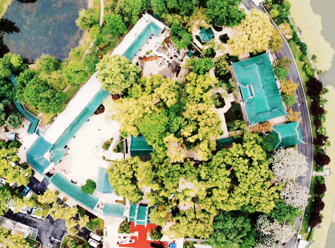 1733387528366301.png db67b3fd2bdefccdef876ce6ea8e32c7.png