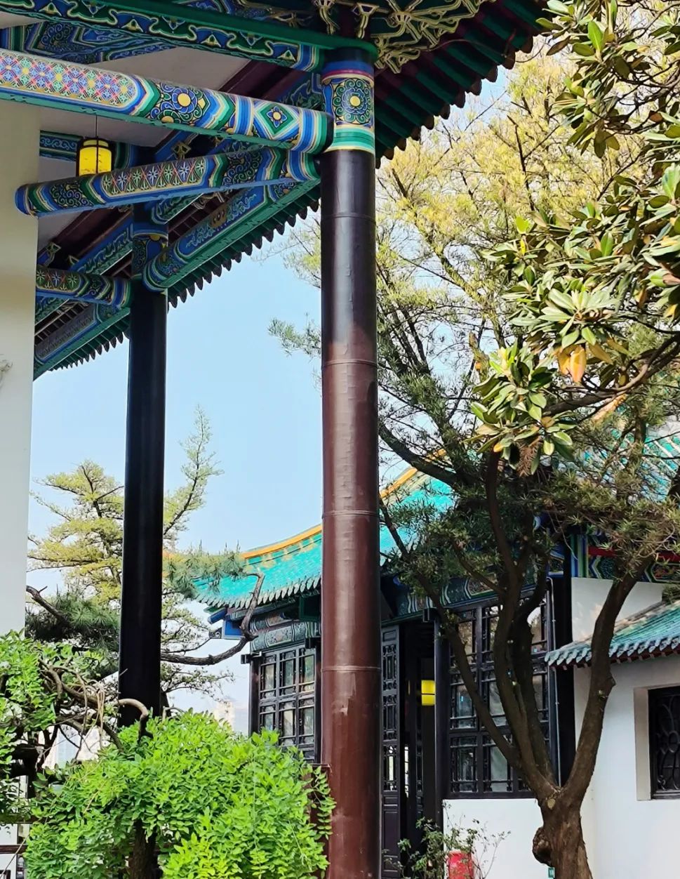 1733387728224574.jpg 522a78f078cbf187c3d7d2e047b8786b.jpg