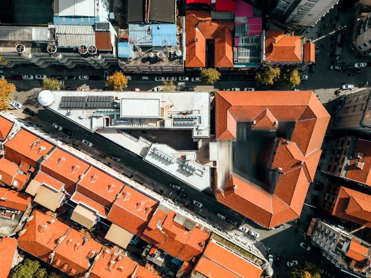 1734077092120505.jpg c61836d046e19f994f638f6a40a12655.jpg