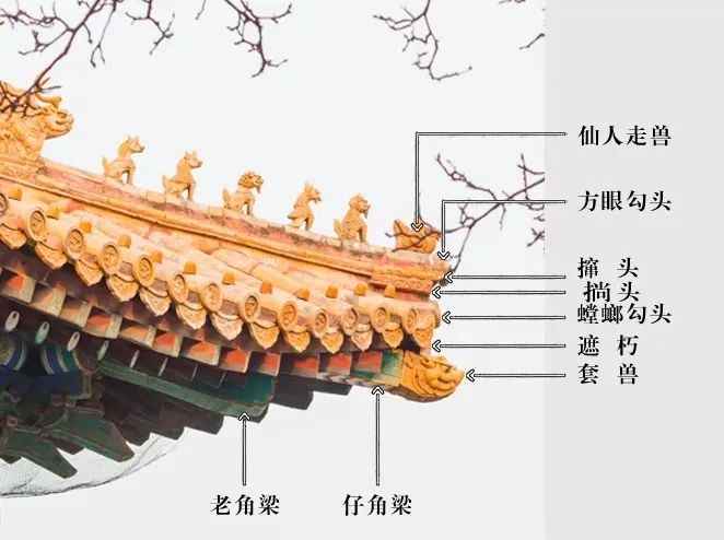 1740728099186482.jpg 21c2d6c0ad37f7d36007d582cdfdd569.jpg