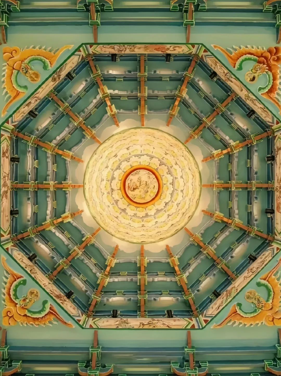 1742799844110958.jpg 1742799844110958.jpg