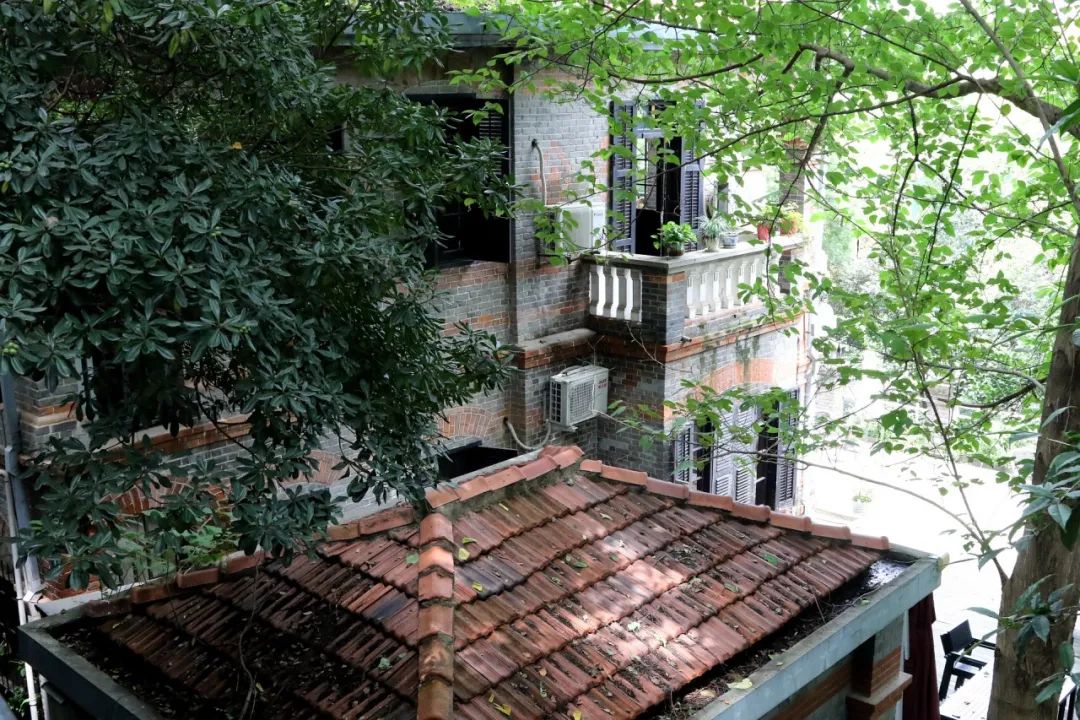 1751272450224920.jpg c4d0220cabd676e95f3fa2aa0e7a76fc.jpg